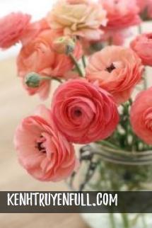 Bắt Được Em Rồi, Cô Vợ Nghịch Ngợm