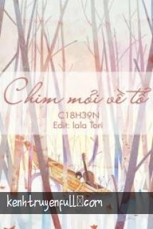 Chim Mỏi Về Tổ