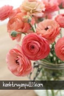 Cô Vợ Nhỏ Tinh Nghịch Của Bọn Hắn