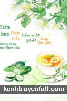 Dưa Leo Hoa Cúc Túm Một Phát