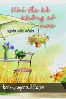 Khi Tắc Kè Không Có Hoa