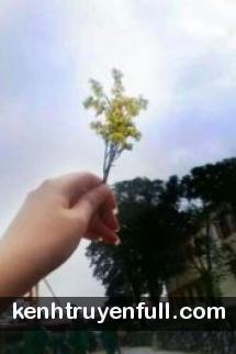 Mối Tình Của Hai Bang Chủ Hắc Bang