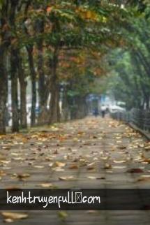 Nắng Cuối Con Đường
