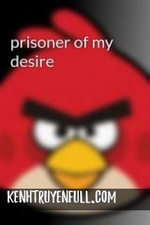 Prisoner Of My Desire