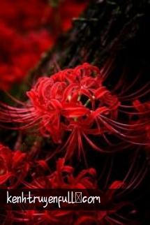 Sổ Tay Thượng Vị Hậu Cung