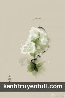 Sương Khói Giai Nhân