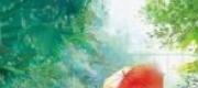 Bẫy Hôn Nhân: Vợ Trước Ôm Con Chạy