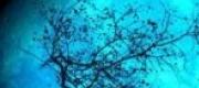 Blue Moon