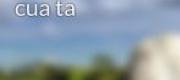 Ca Ca Hỗn Huyết Của Ta