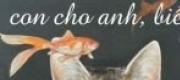 Cánh Đồng Mộc Anh