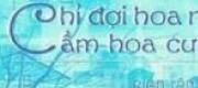 Chỉ Đợi Hoa Nở Cầm Hoa Cười