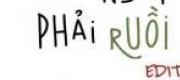 Chó Ngáp Phải Ruồi