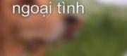 Chồng Tôi Ngoại Tình