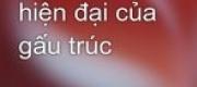 Cuộc Sống Hậu Hiện Đại Của Gấu Trúc