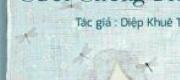 Cưới Chồng Điên