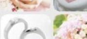 Đấu Trường Sinh Tử 3: Húng Nhại