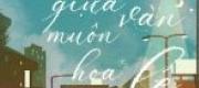 Gặp Anh Giữa Muôn Vàn Hoa Lệ