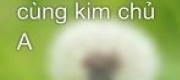 Gián Điệp O Cùng Kim Chủ A