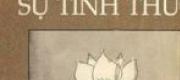 Hơn Cả Phép Nhiệm Màu