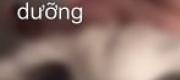 Hợp Đồng Bao Dưỡng