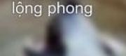 Huyết Long Tuyệt Kiếm
