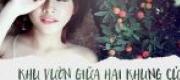 Khu Vườn Giữa Hai Khung Cửa Sổ - Ngày Tháng Kỷ Niệm Của Chúng Ta