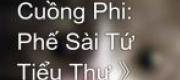 Khuynh Thế Cuồng Phi