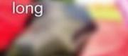 Kiếm Vũ Cuồng Long