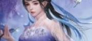 Kim Bài Điềm Thê, Tổng Giám Đốc Sủng Hôn