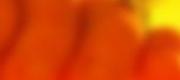 Ký Ức Học Trò