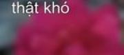 Làm Quả Phụ Thật Khó