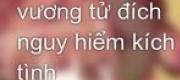 Nhâm Tính Vương Tử Đích Nguy Hiểm Kích Tình