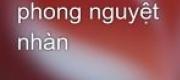 Nhất Liêm Phong Nguyệt Nhàn