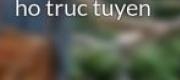 Nói Dối Và Hẹn Hò Trực Tuyến