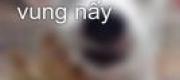 Nồi Nào Úp Vung Nấy