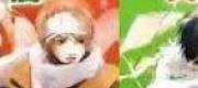 Ông Già Noel Cười Một Cái