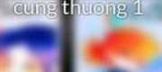 Phượng Huyền Cung Thương