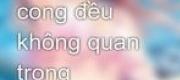 Thẳng Hay Cong Đều Không Quan Trọng