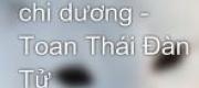 Thập Ngũ Niên Chi Dương