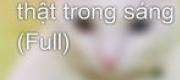 Tôi Và Boss Thật Trong Sáng