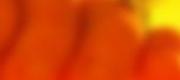 Trò Chơi Bí Ẩn