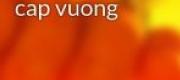 Vô Địch Thăng Cấp Vương