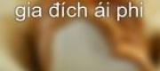 Vương Gia... Vương Phi Bạo Loạn