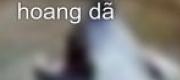 Xuyên Qua Làm Hoàng Đế