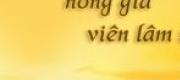 Xuyên Việt Chi Nông Gia Viên Lâm Sư