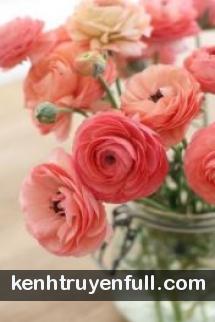 Tiên Nữ Vô Dụng Thích Ở Nhà