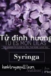 Tư Đình