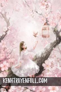 Mùa Xuân Của Chó Độc Thân
